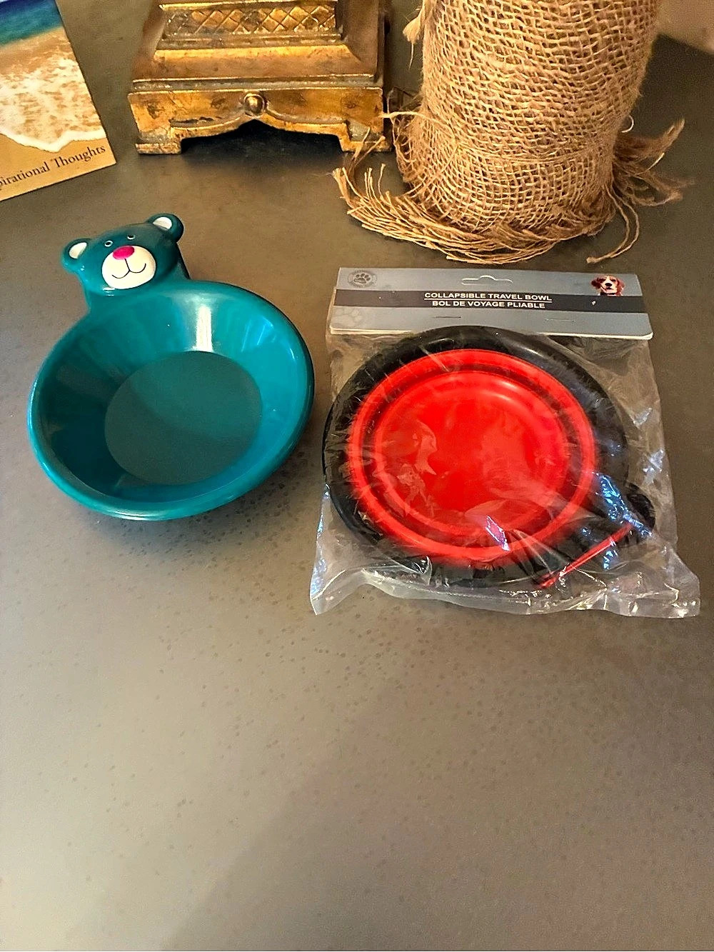 2 items, 1 small GREEN plastic pet dish and 1 collapsible silicone travel bowl.